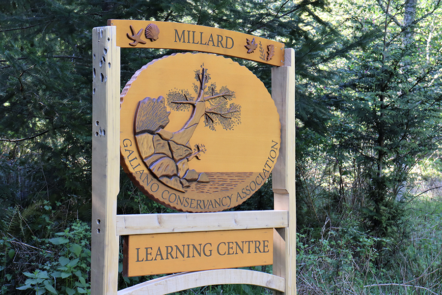 Entrance to the Millard Learning Centre -
